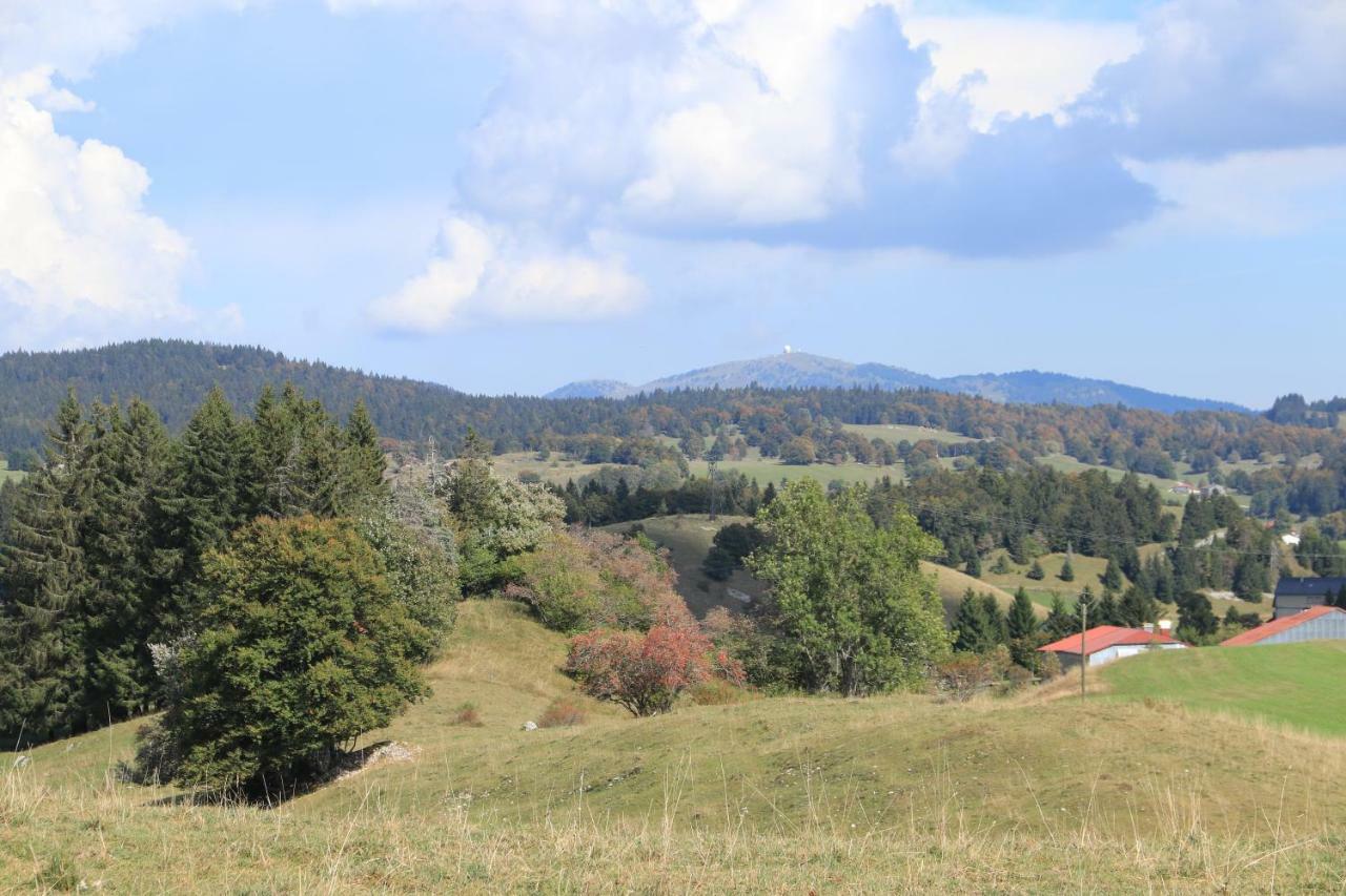 Au Coeur Du Lapidaire Septmoncel-Les-Molunes Εξωτερικό φωτογραφία